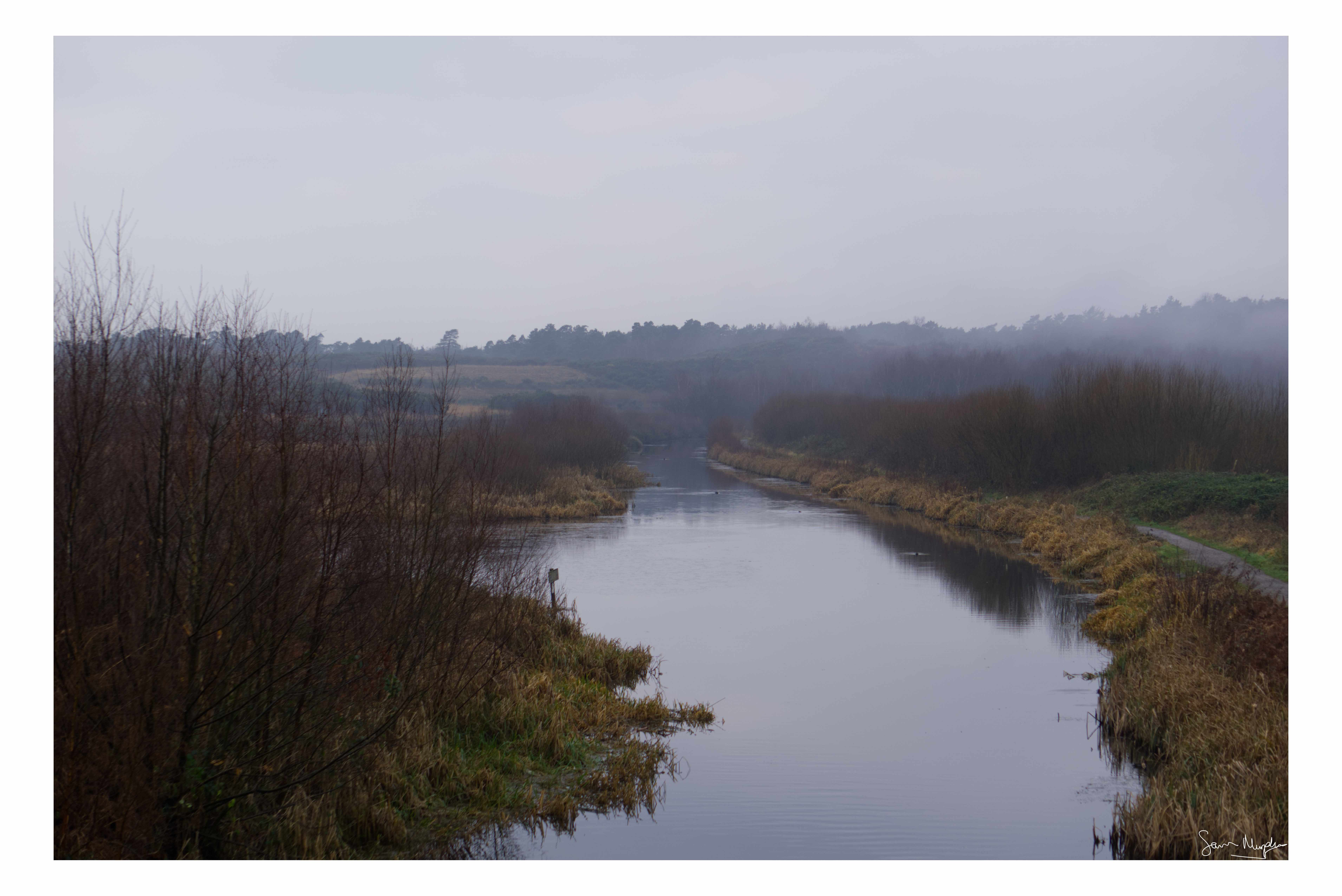 Foggy River
